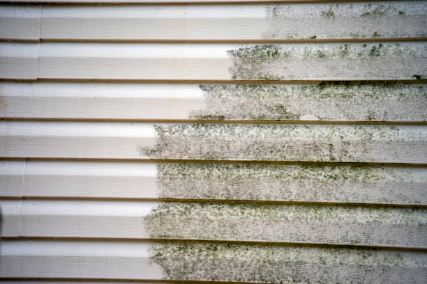 Affordable siding repair and maintenance services in Perrysburg, OH